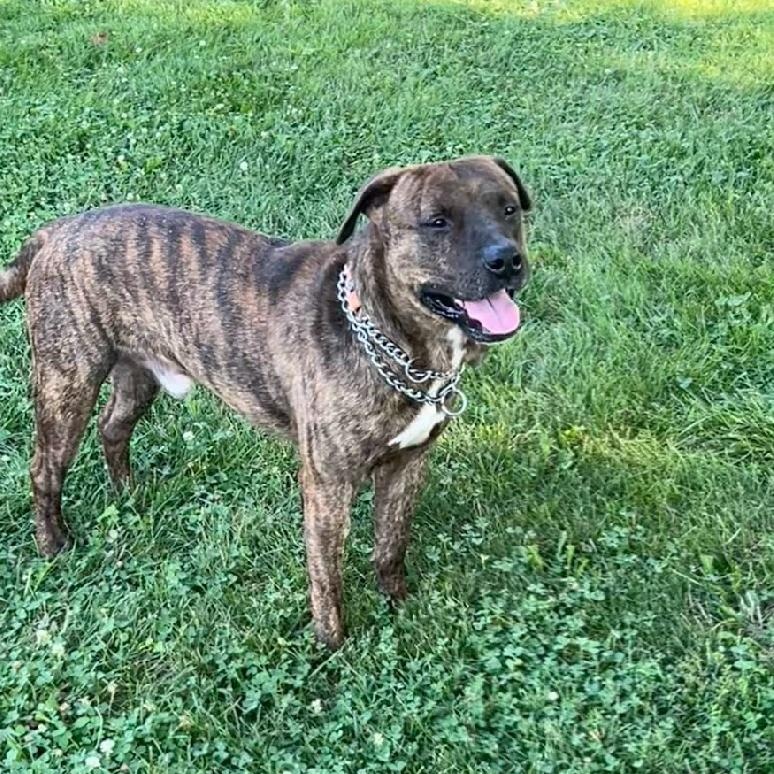 JAX