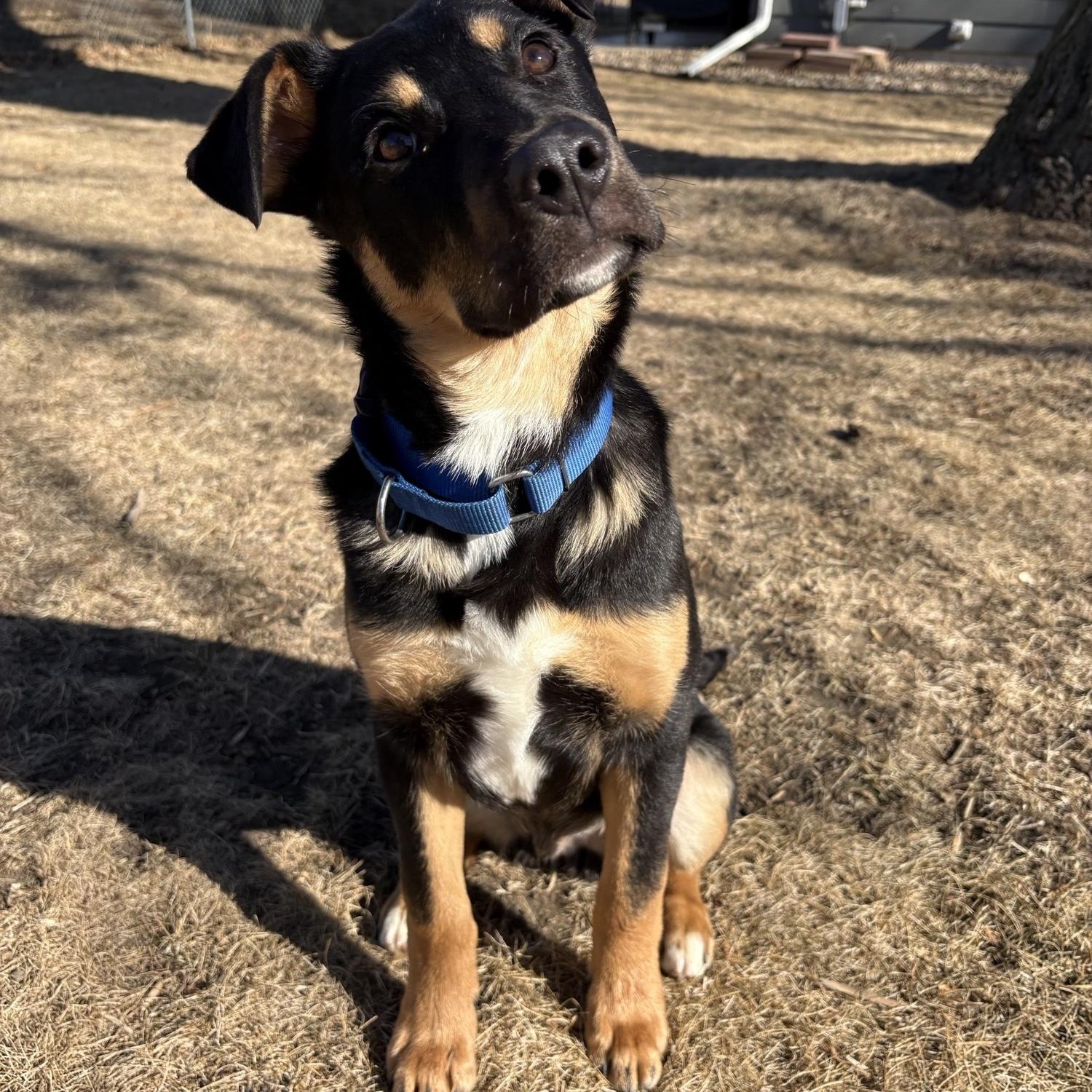 Farley — thumbnail 2