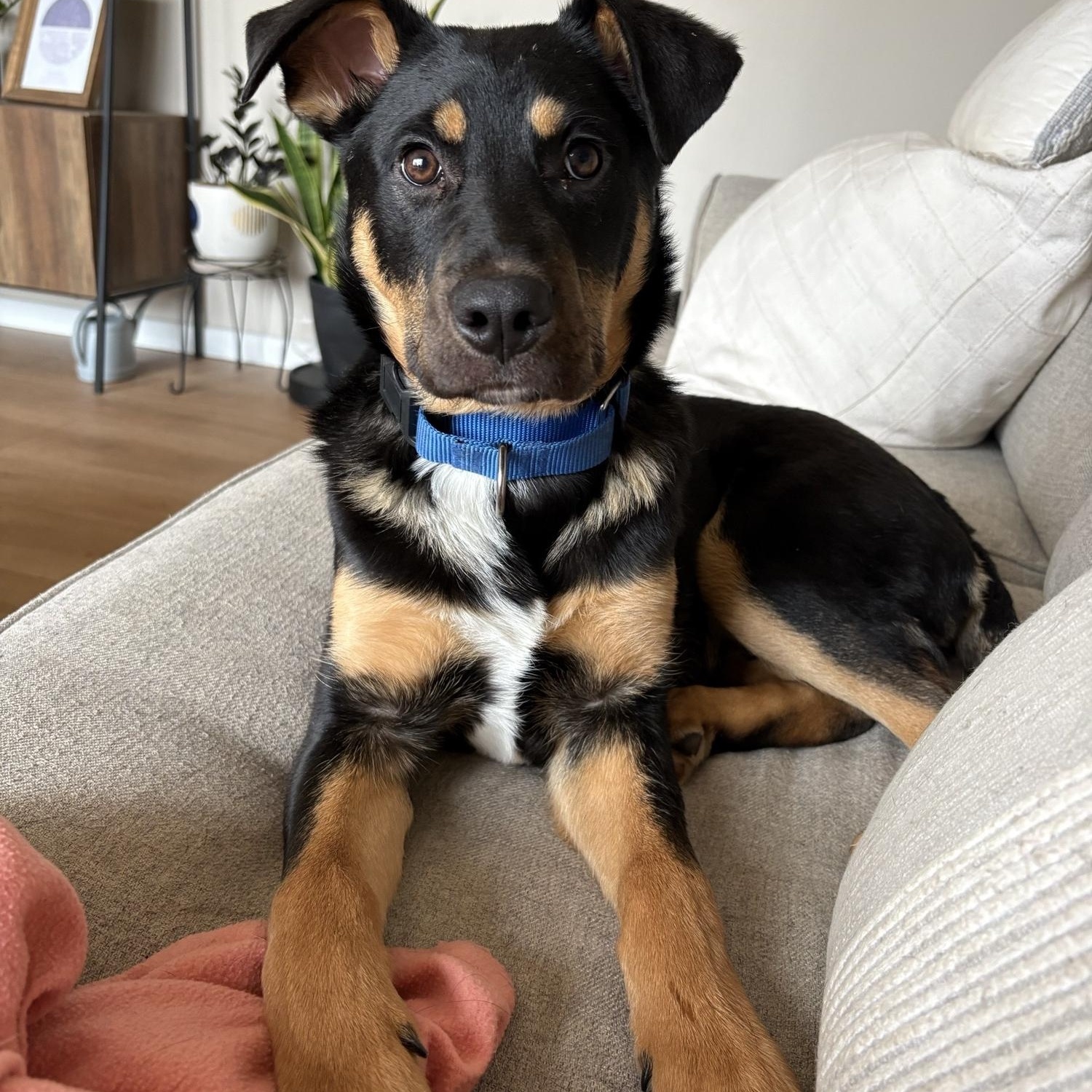 Farley — thumbnail 4