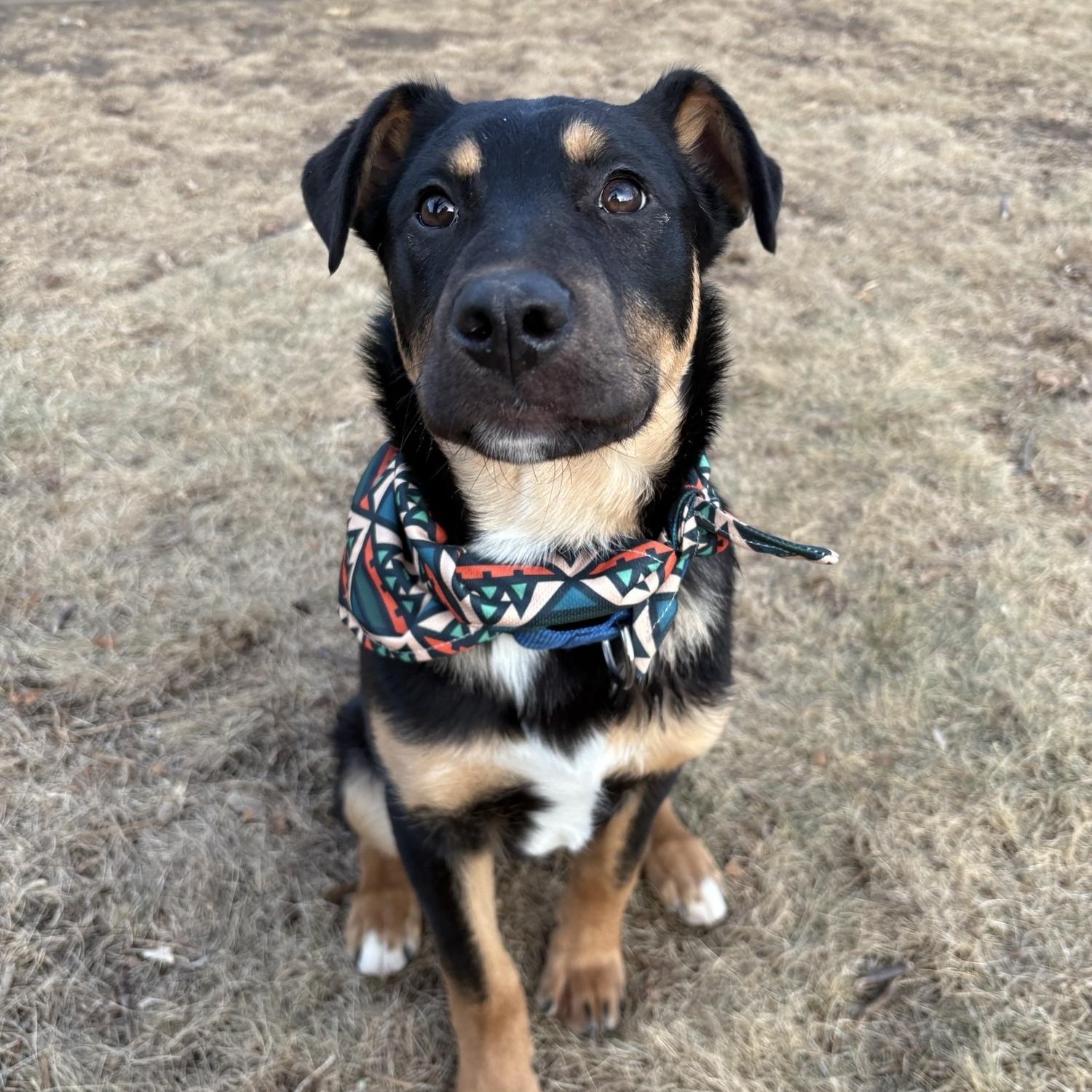 Farley — thumbnail 6