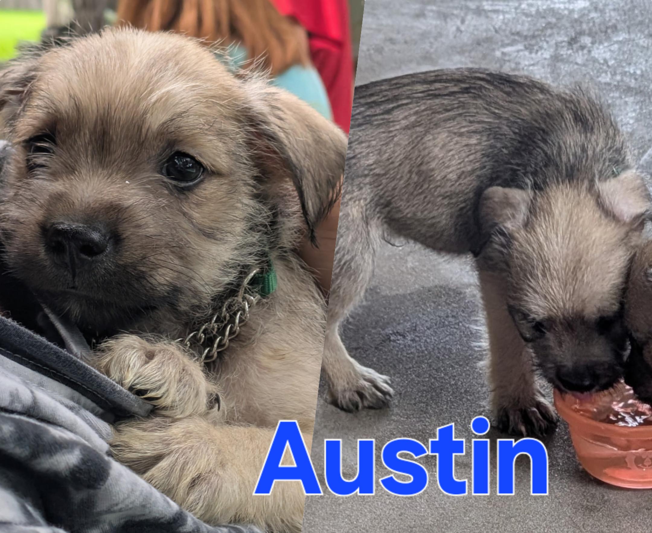 Austin