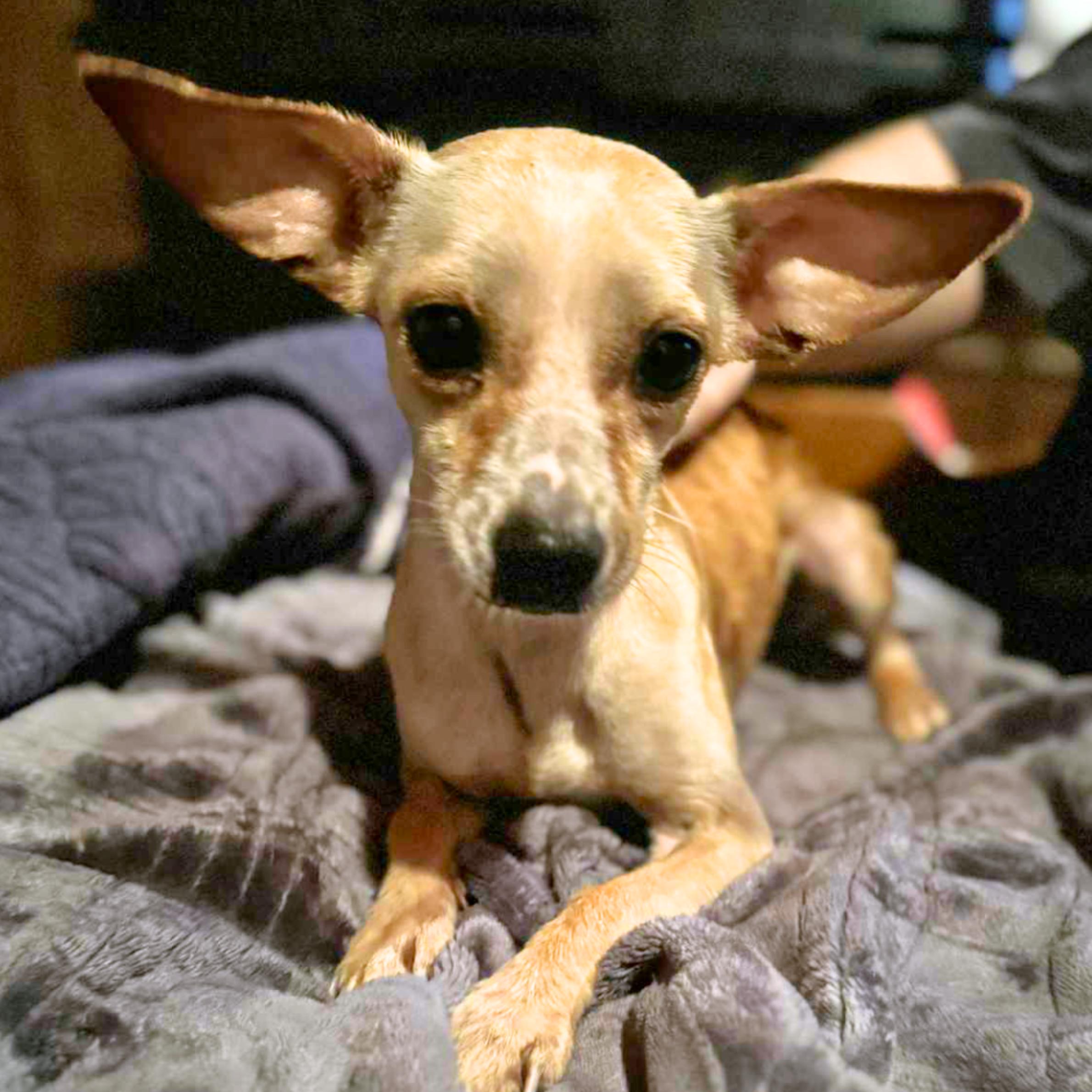 Whiteout thumbnail 2