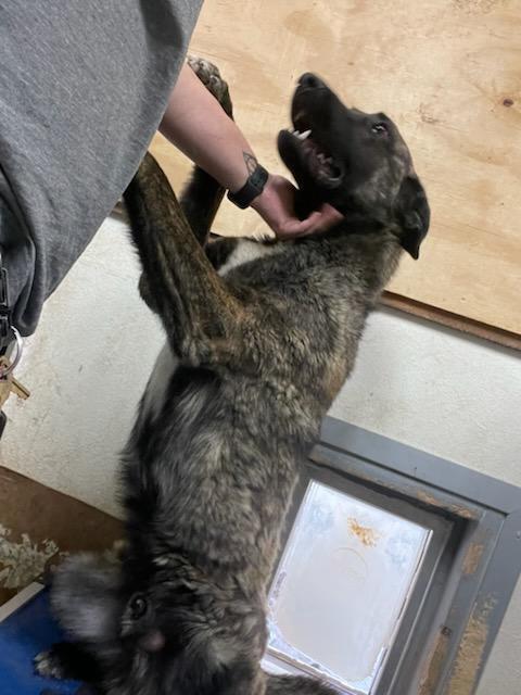 Knox Located In New thumbnail 6