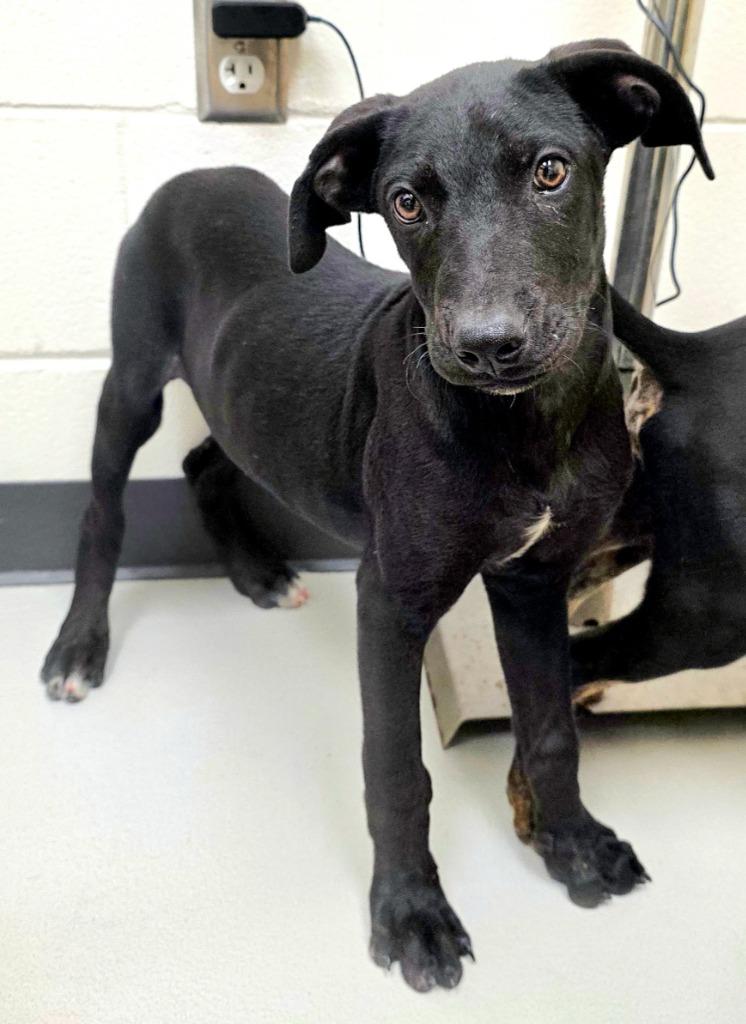 Garth  Ac  thumbnail 2