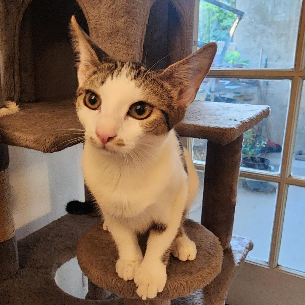 Sasha — thumbnail 4