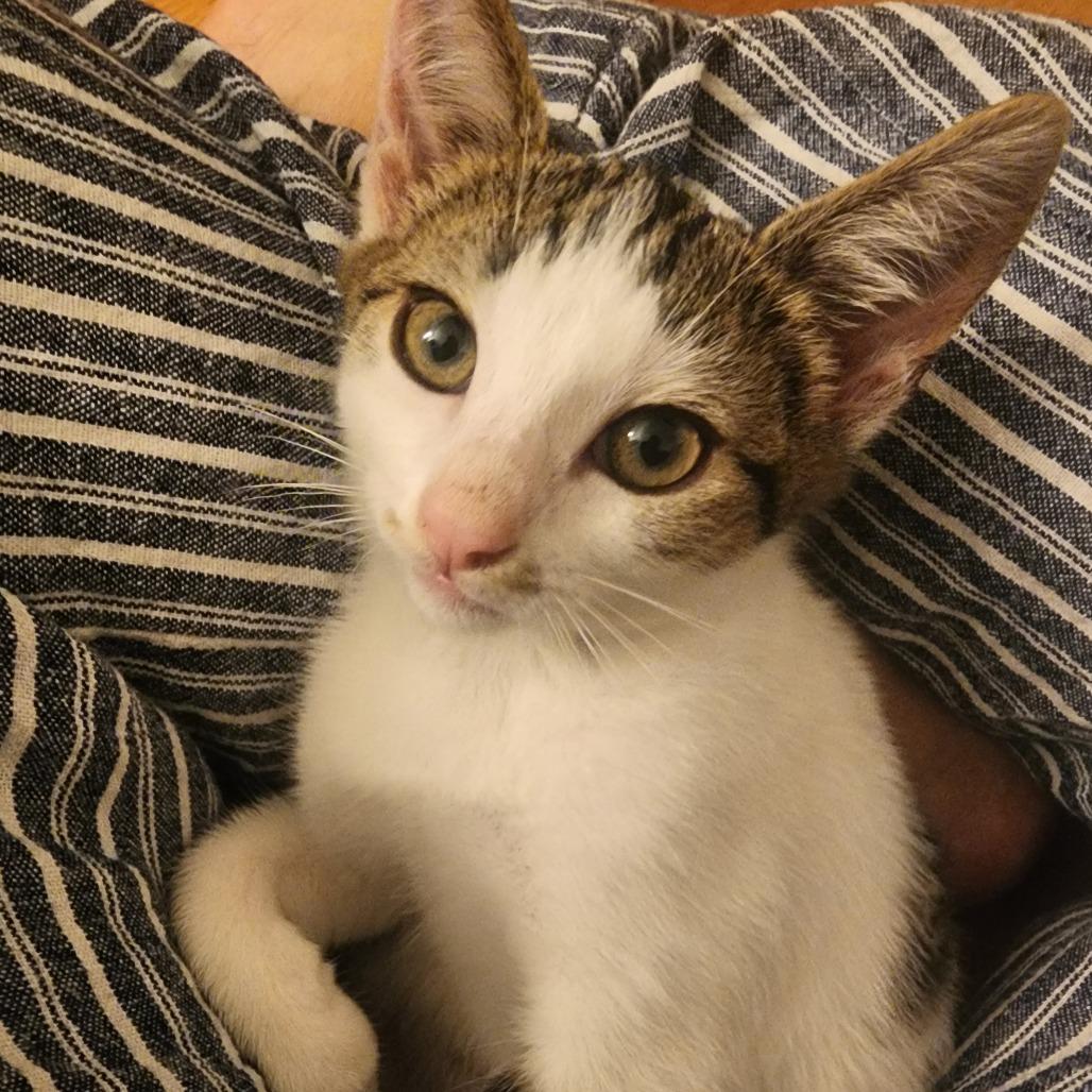 Sasha — thumbnail 5