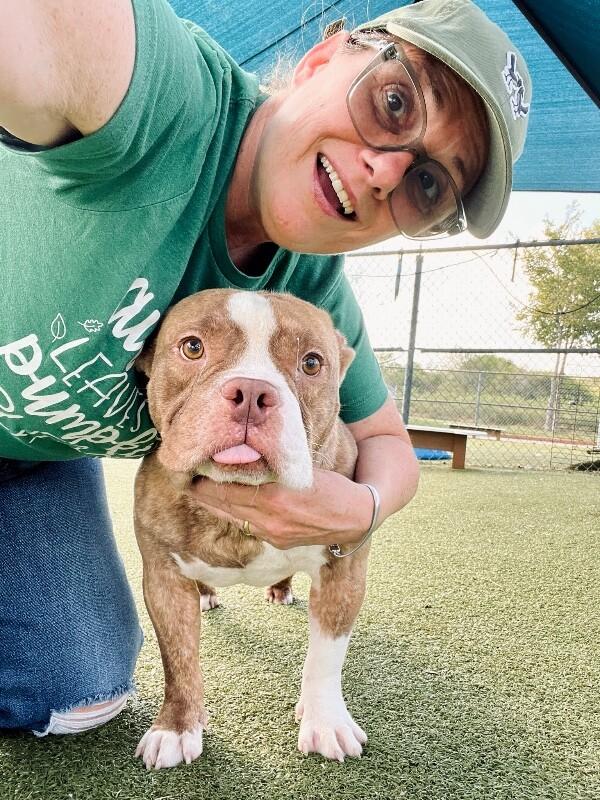 Vinnie Van Gogh a True Work of Art — thumbnail 4