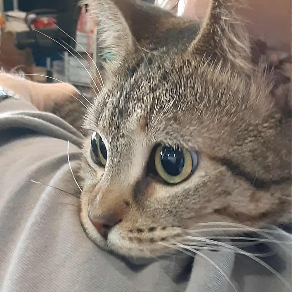 Seven - bonded to Grinch