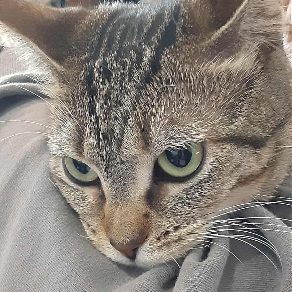 Seven - bonded to Grinch