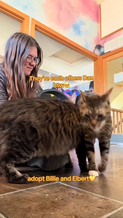Enlarge Billie & Elbert, an adoptable mixed breed in Ridgway, CO video 6/6