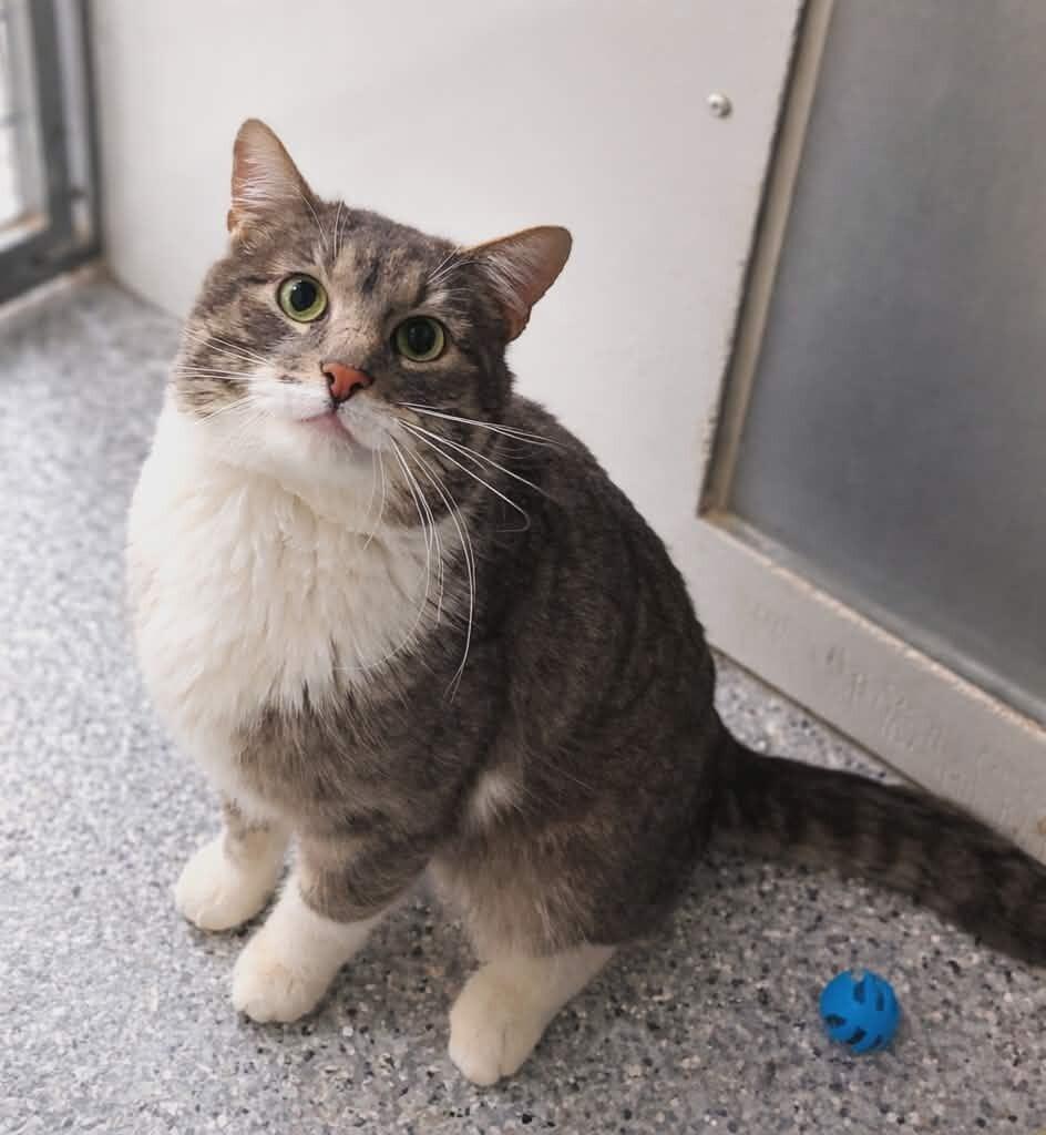 Nanners — thumbnail 2