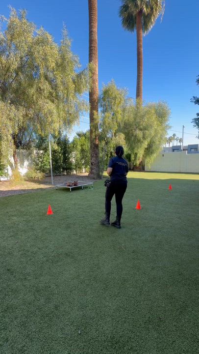 Enlarge Hunny, a ADOPTABLE mixed breed in Scottsdale, AZ video 4/4