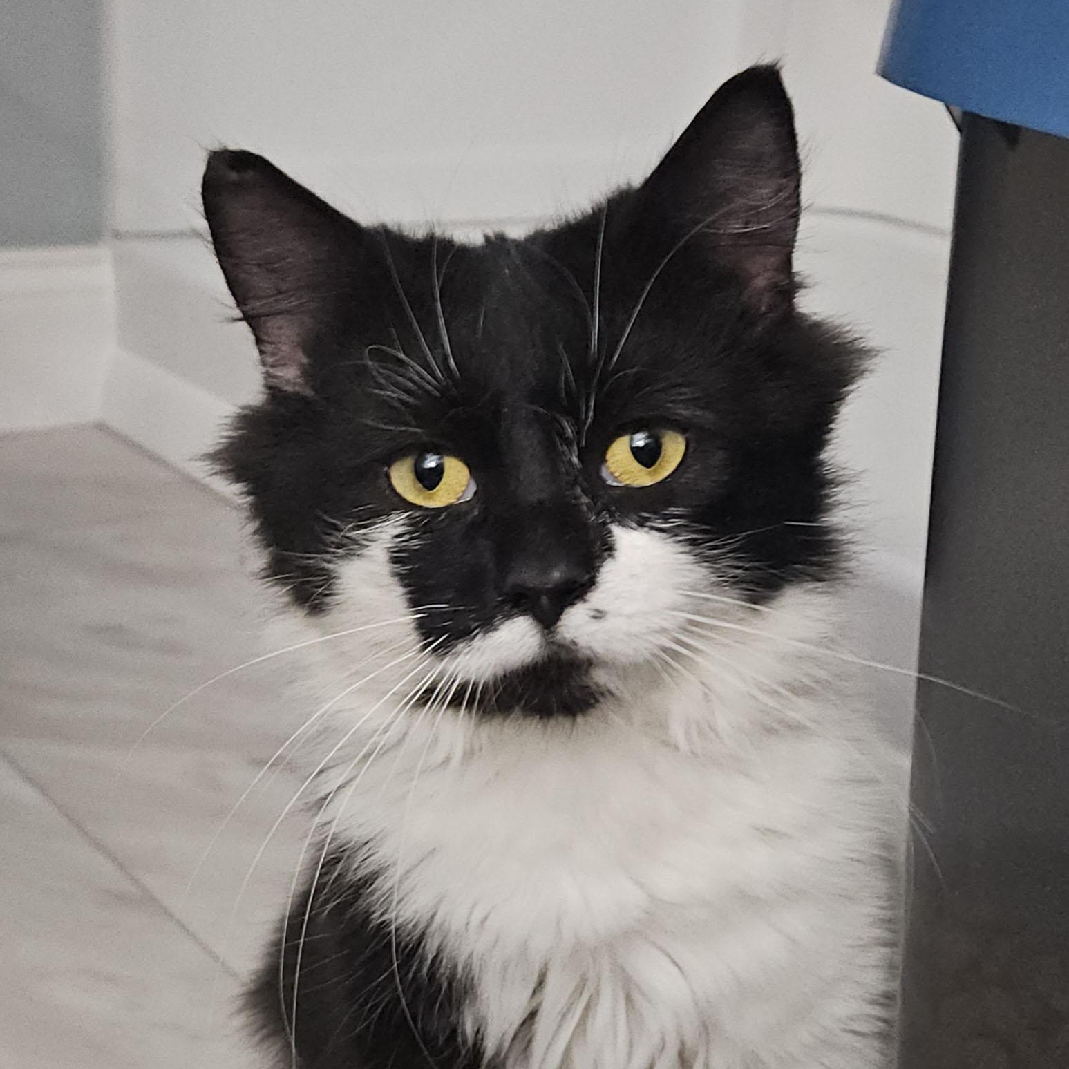 Beans And Bugz  thumbnail 4