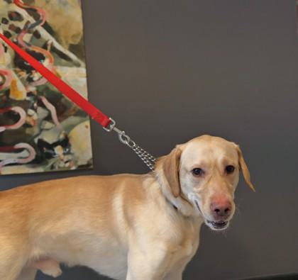 Colby — thumbnail 2