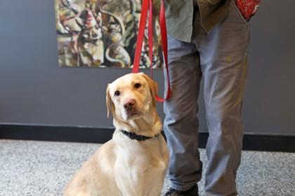 Colby — thumbnail 3