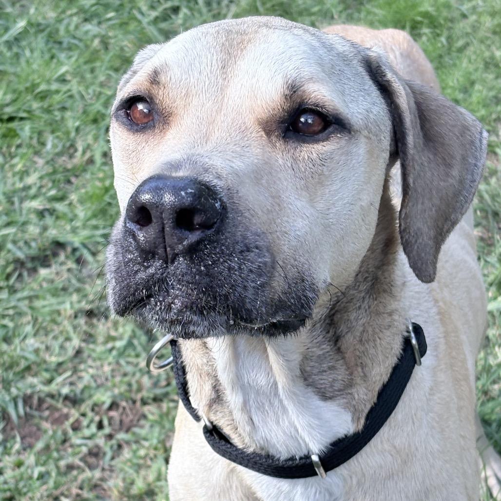 Liam: Airstray thumbnail 3