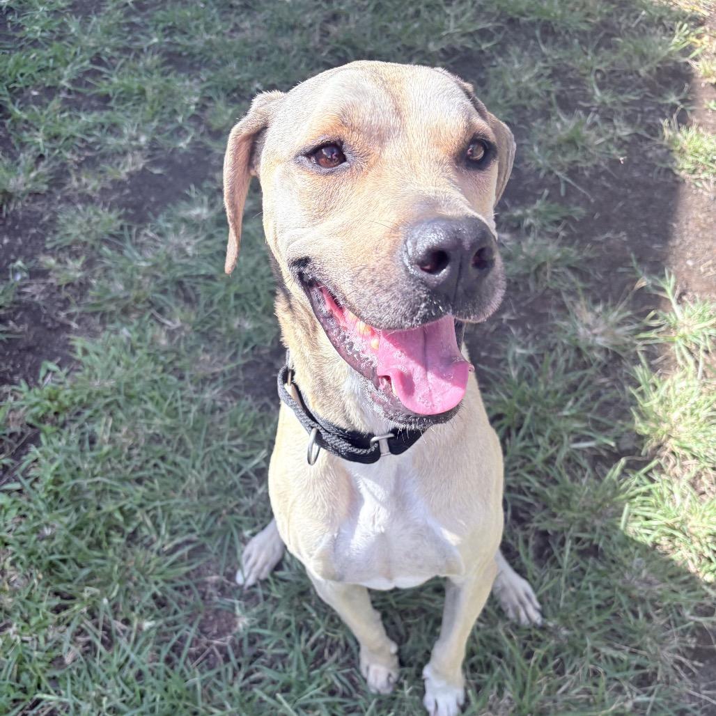 Liam: Airstray thumbnail 4