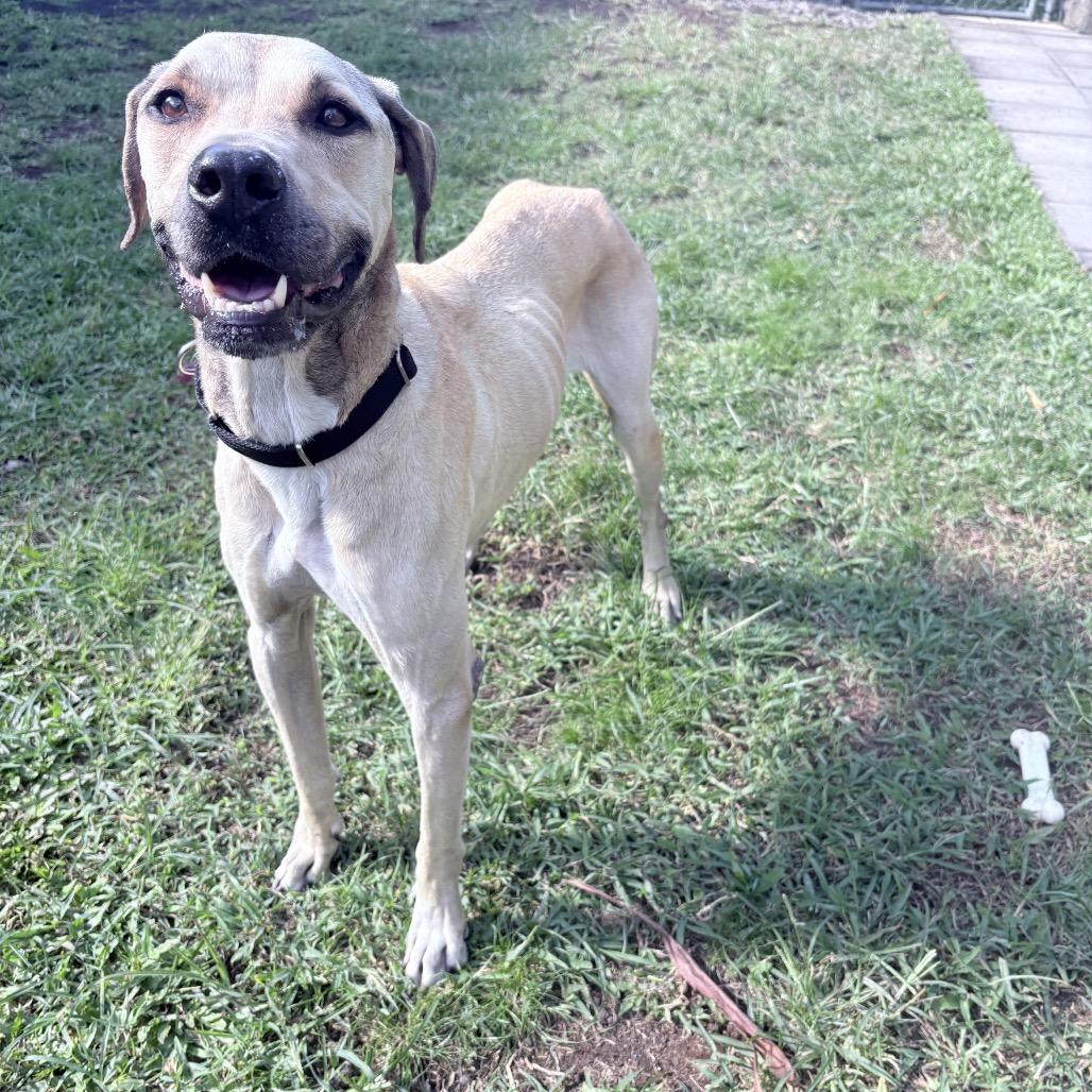 Liam: Airstray thumbnail 5