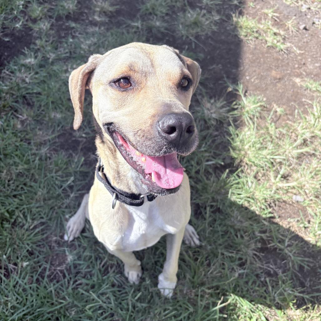 Liam: Airstray thumbnail 6