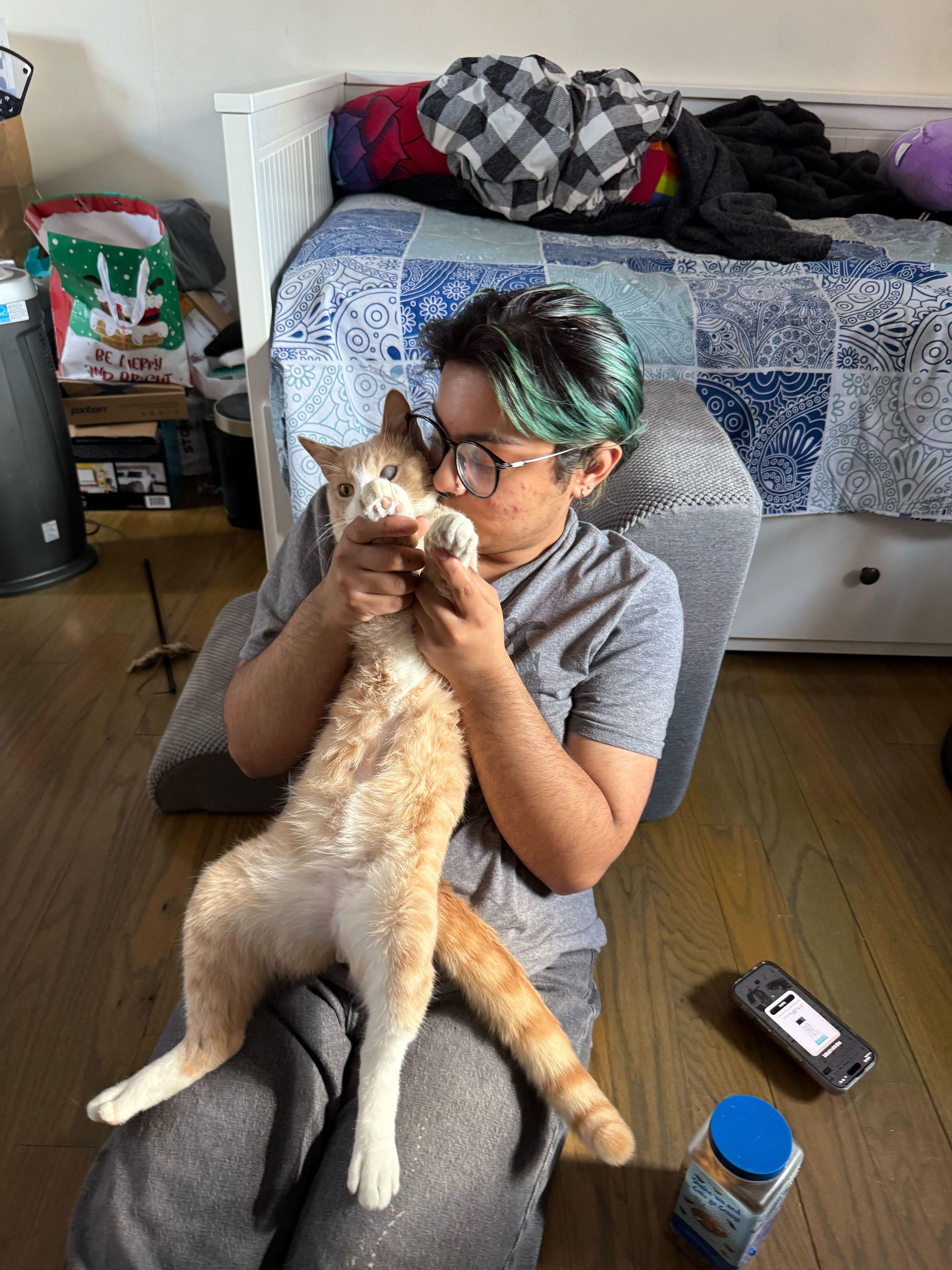 Guy from Fahrenheit 451, a ADOPTABLE Domestic Short Hair in Long Island City, NY image 6/6