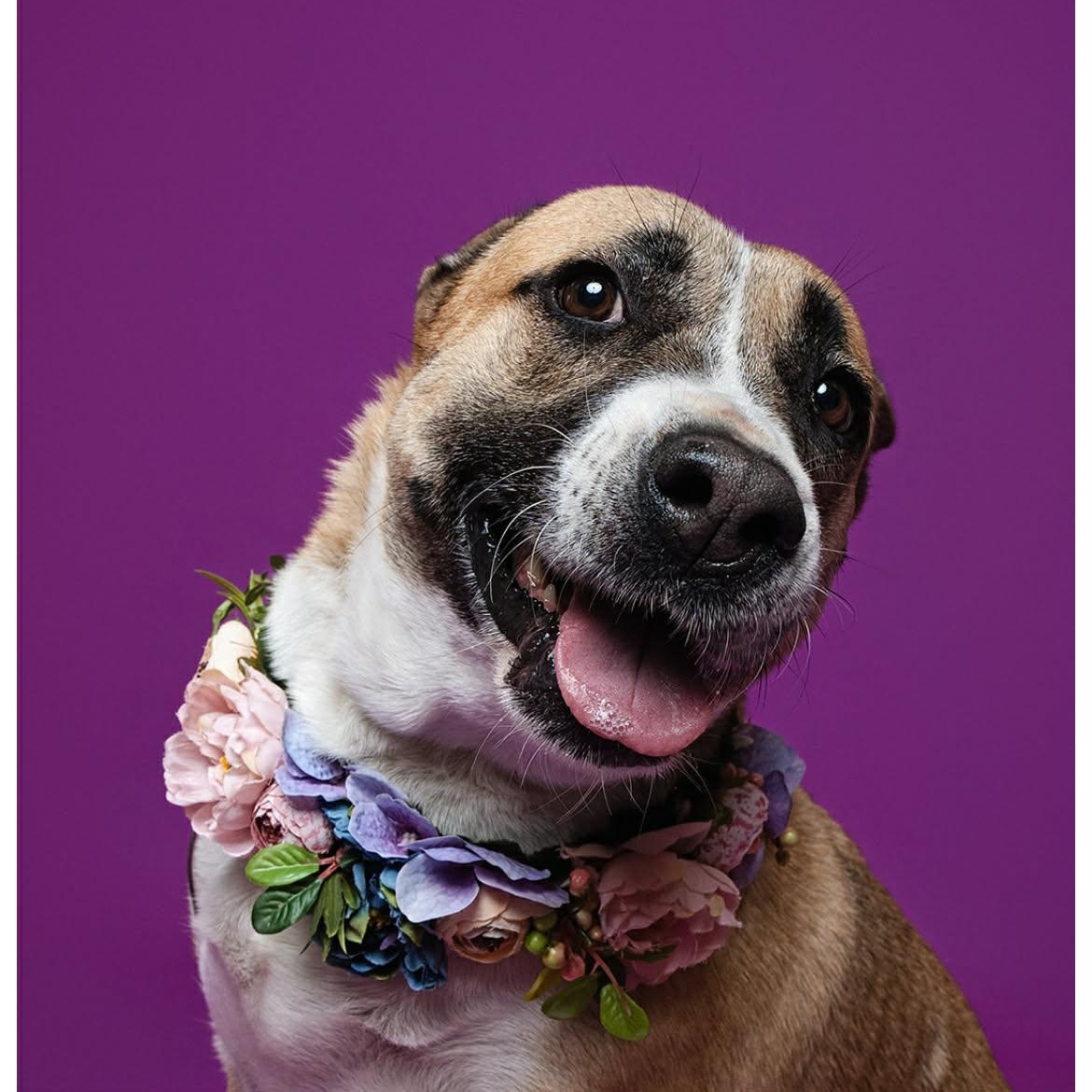 FAITH GS — thumbnail 2