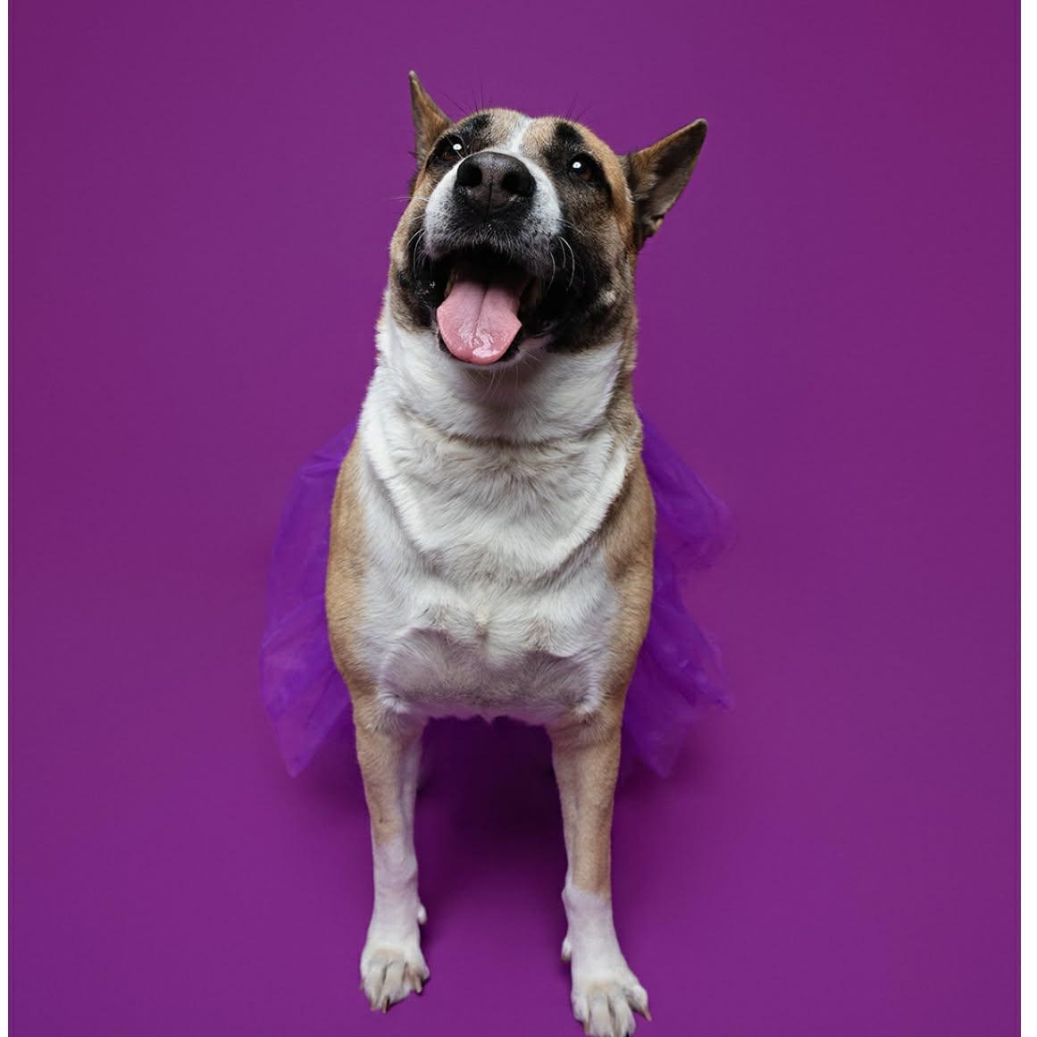 FAITH GS — thumbnail 4