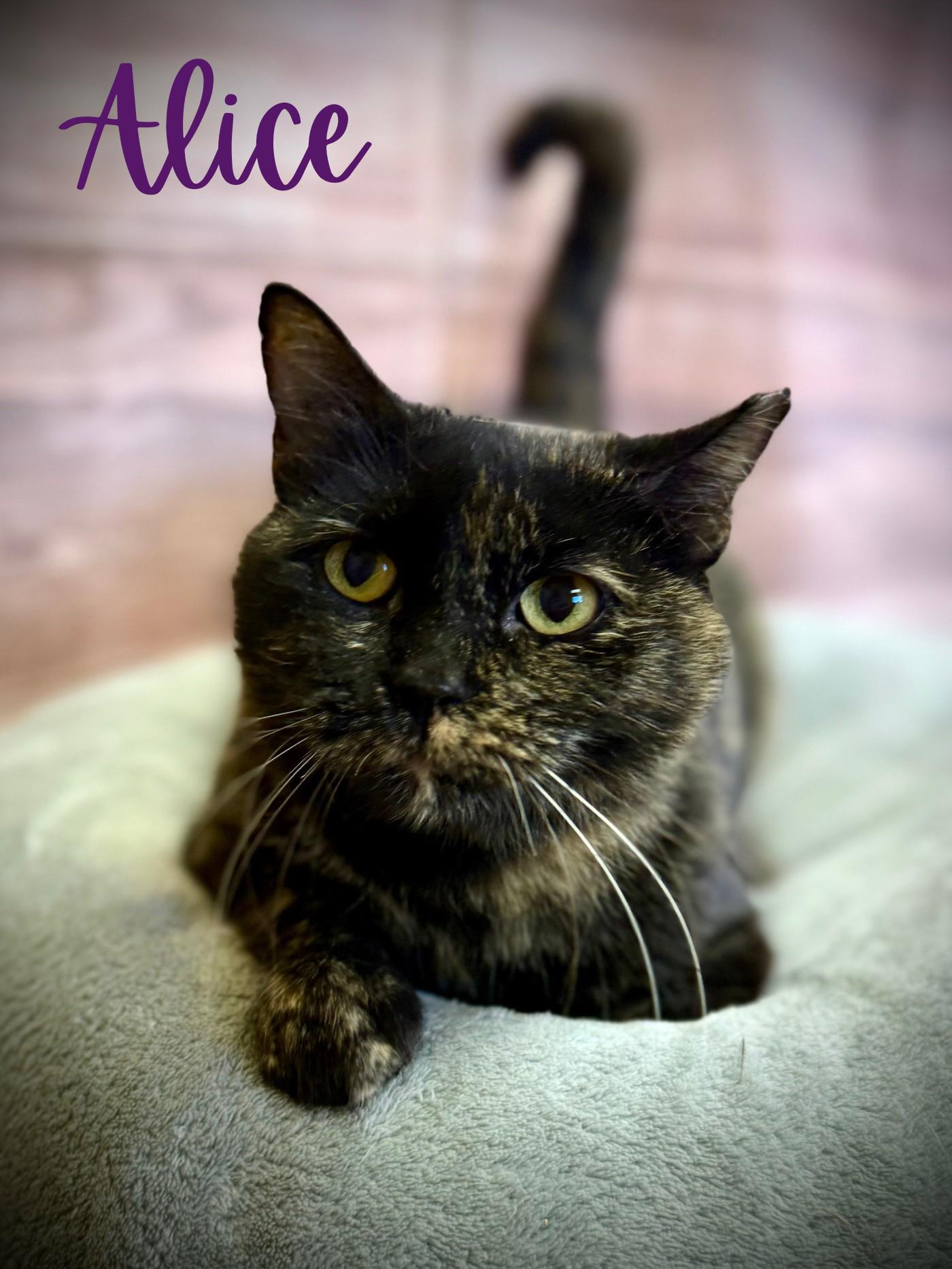 Alice