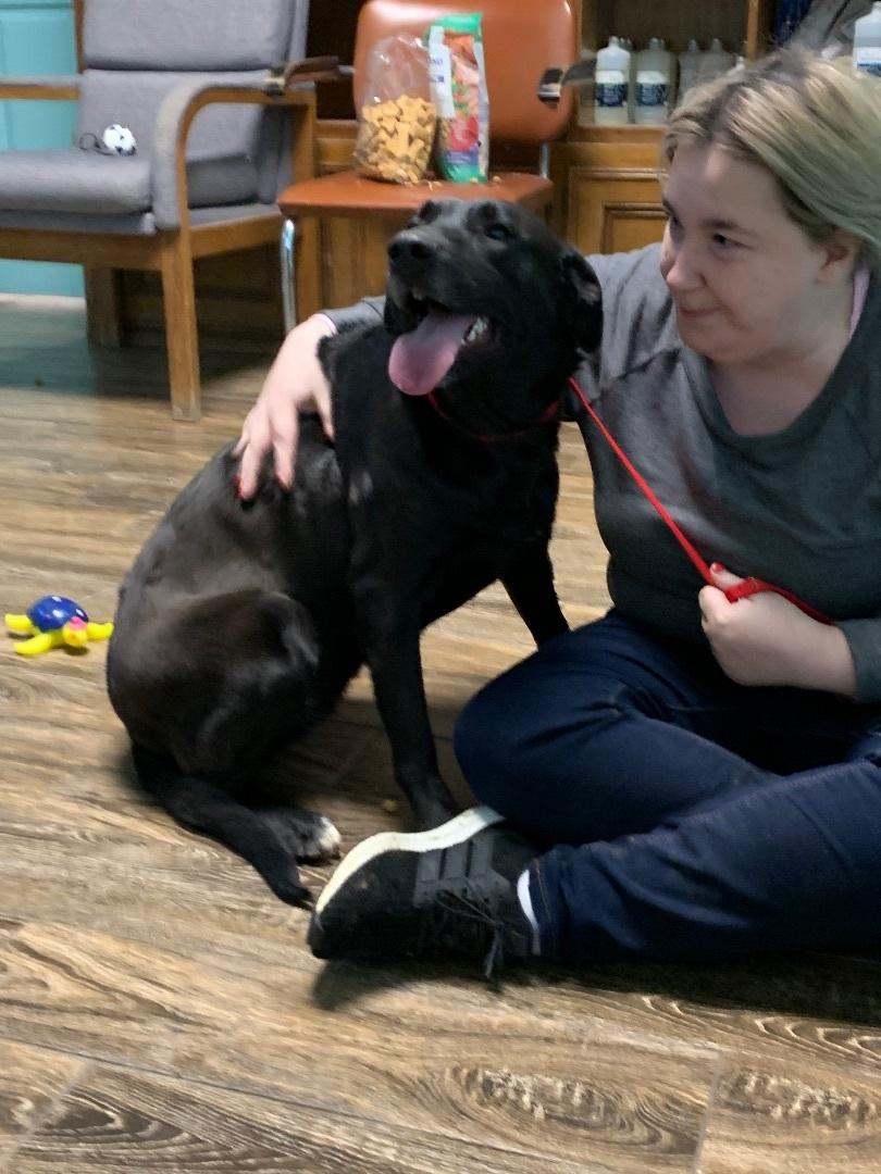 Enlarge Kate, a Adoptable mixed breed in Hearne, TX image 3/4