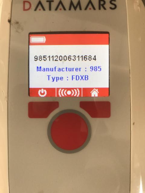 Enlarge ROCKY**, a Adoptable mixed breed in Belton, TX image 2/2