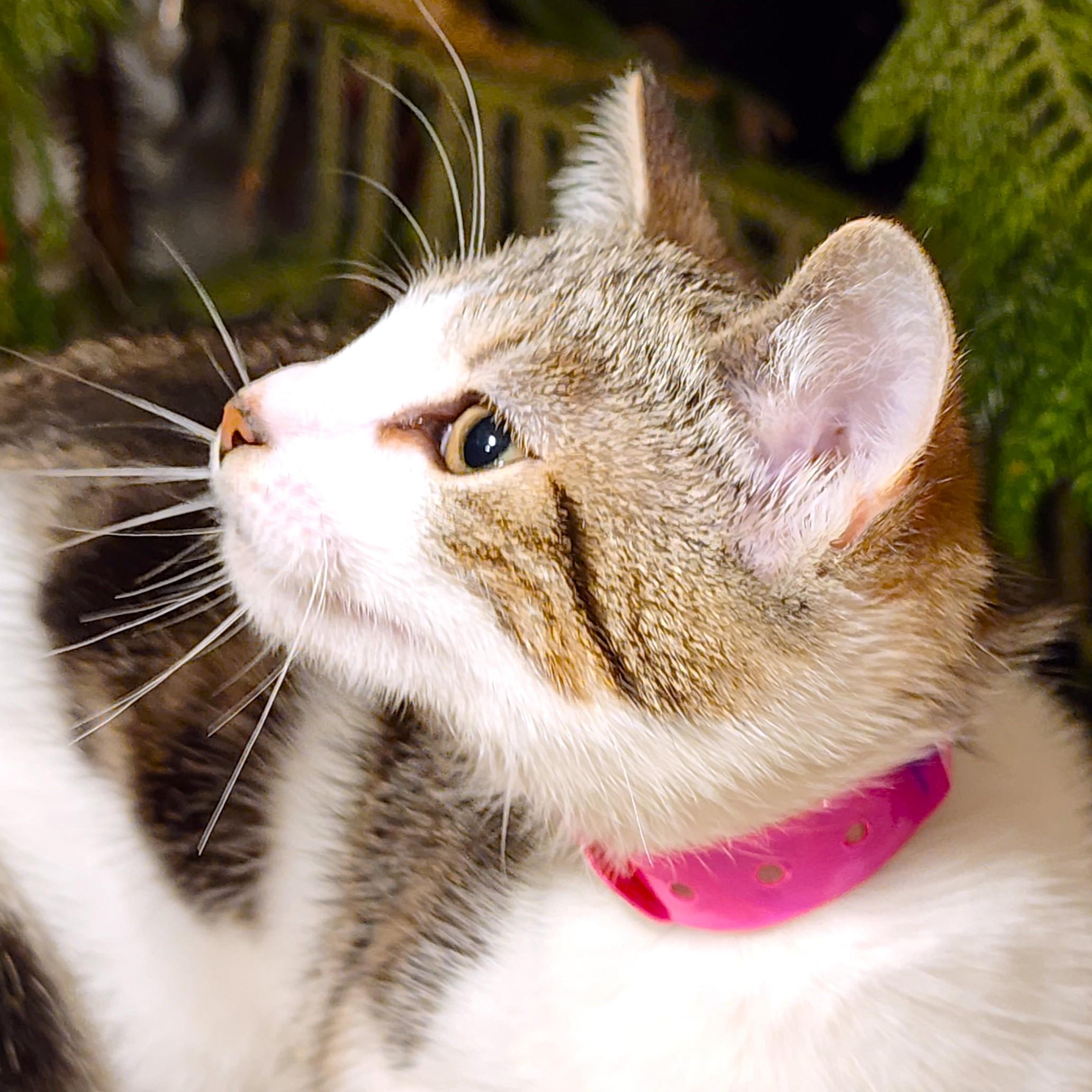MARVELOUS MOXIE!