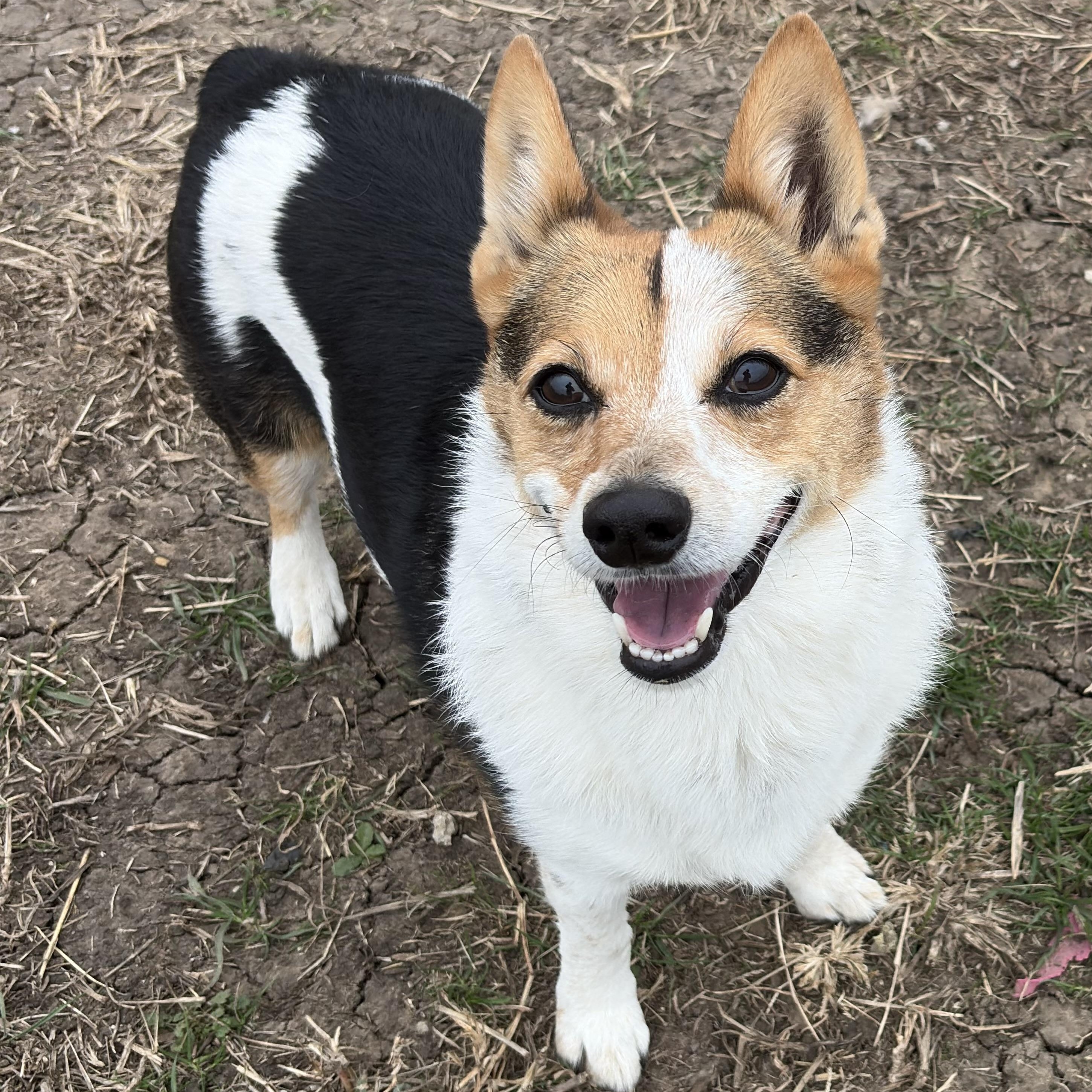 Dixie And Little Girl thumbnail 2