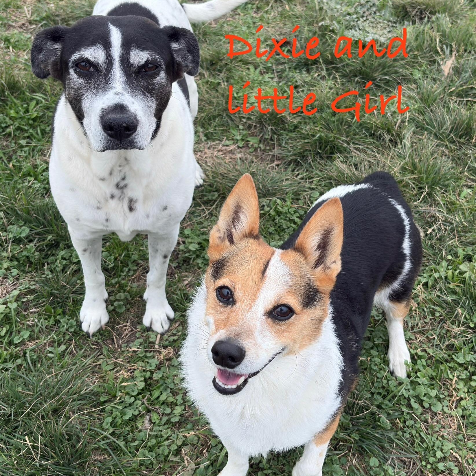 Dixie And Little Girl thumbnail 3