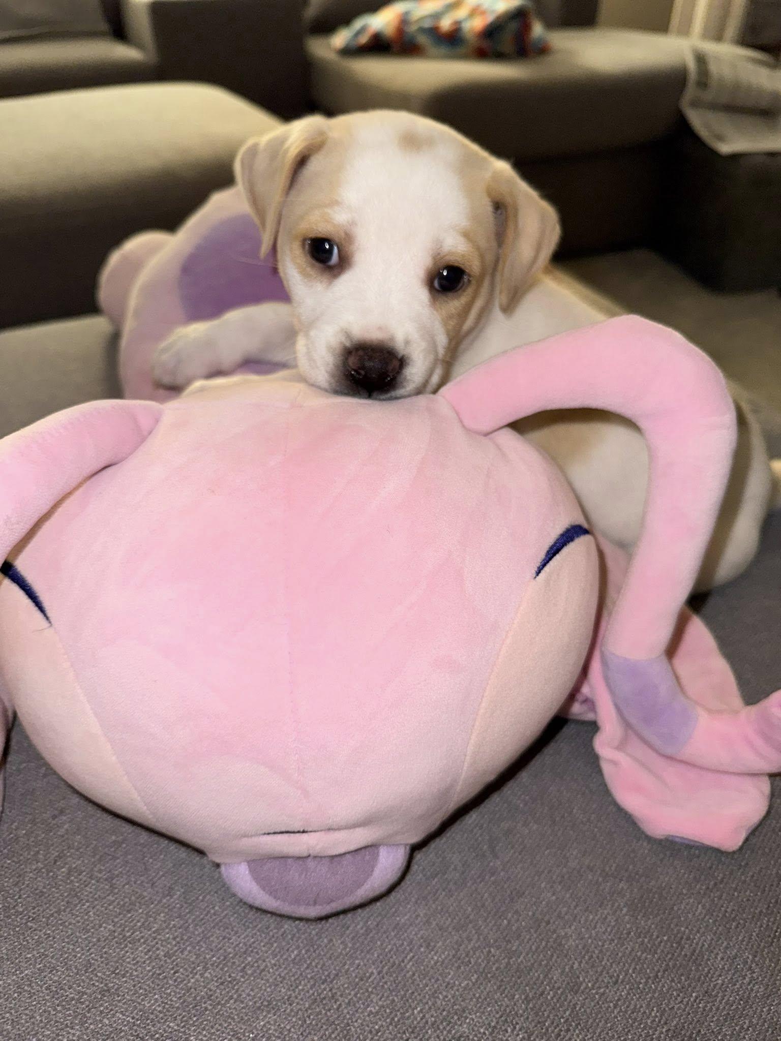 Baby Angel thumbnail 2