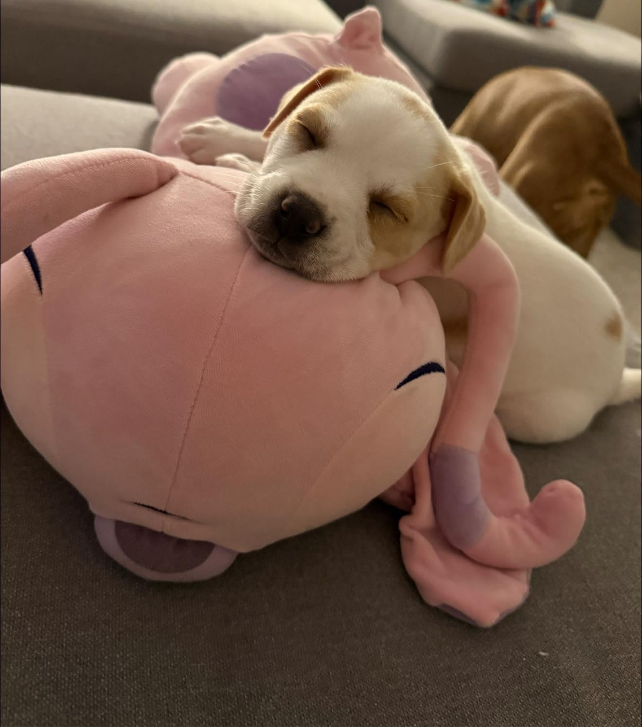 Baby Angel thumbnail 3