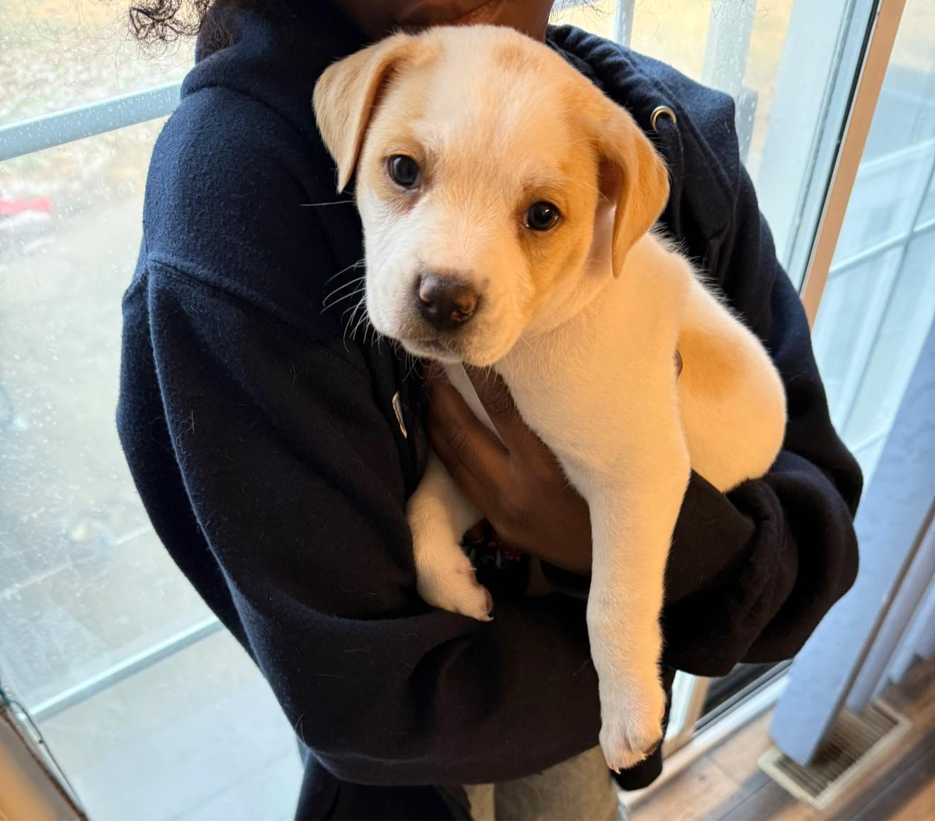 Baby Angel thumbnail 4