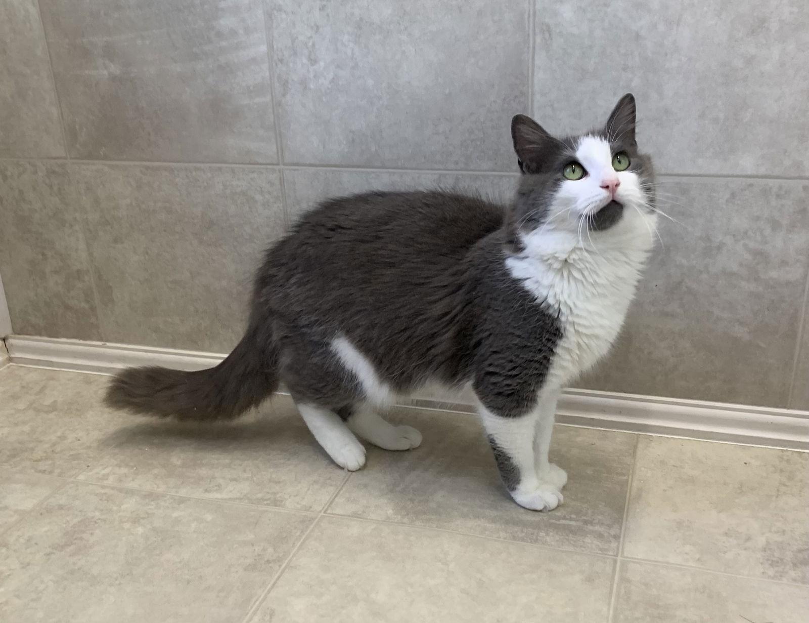 Tucker — thumbnail 2