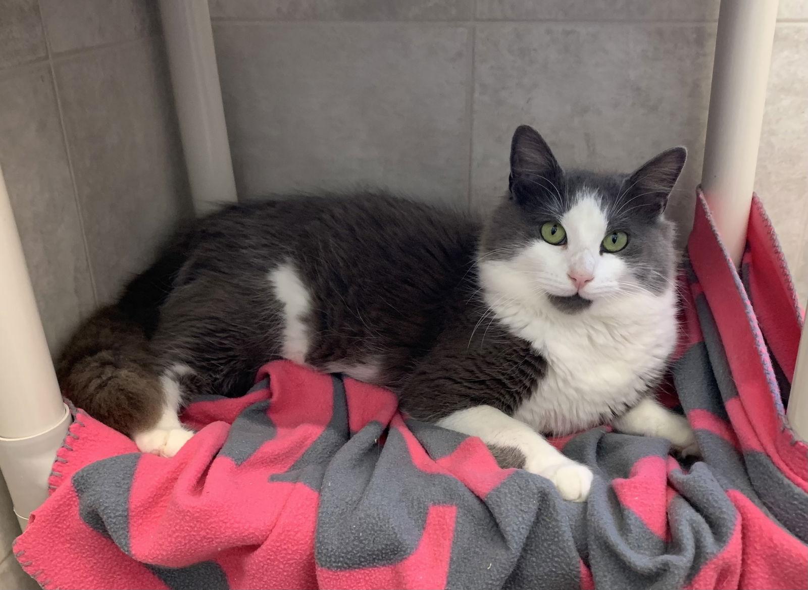 Tucker — thumbnail 3