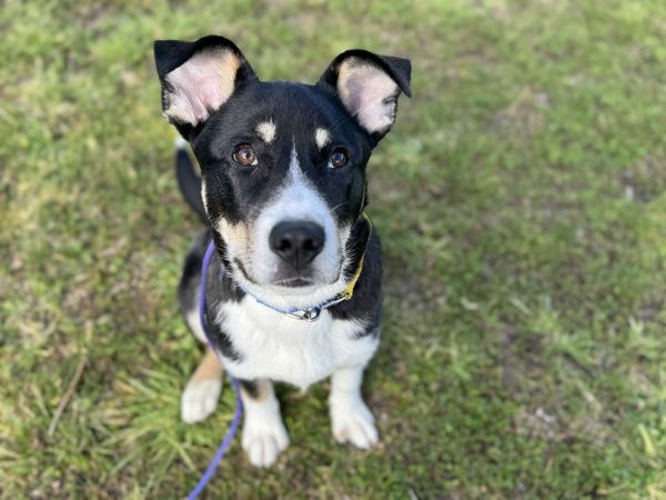 Solar — thumbnail 2