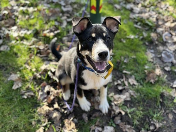 Solar — thumbnail 3