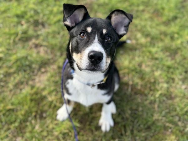 Solar — thumbnail 4