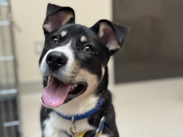 Solar — thumbnail 5