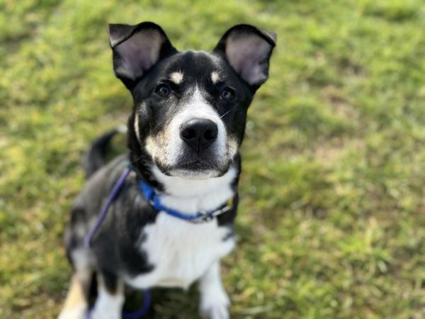 Solar — thumbnail 6