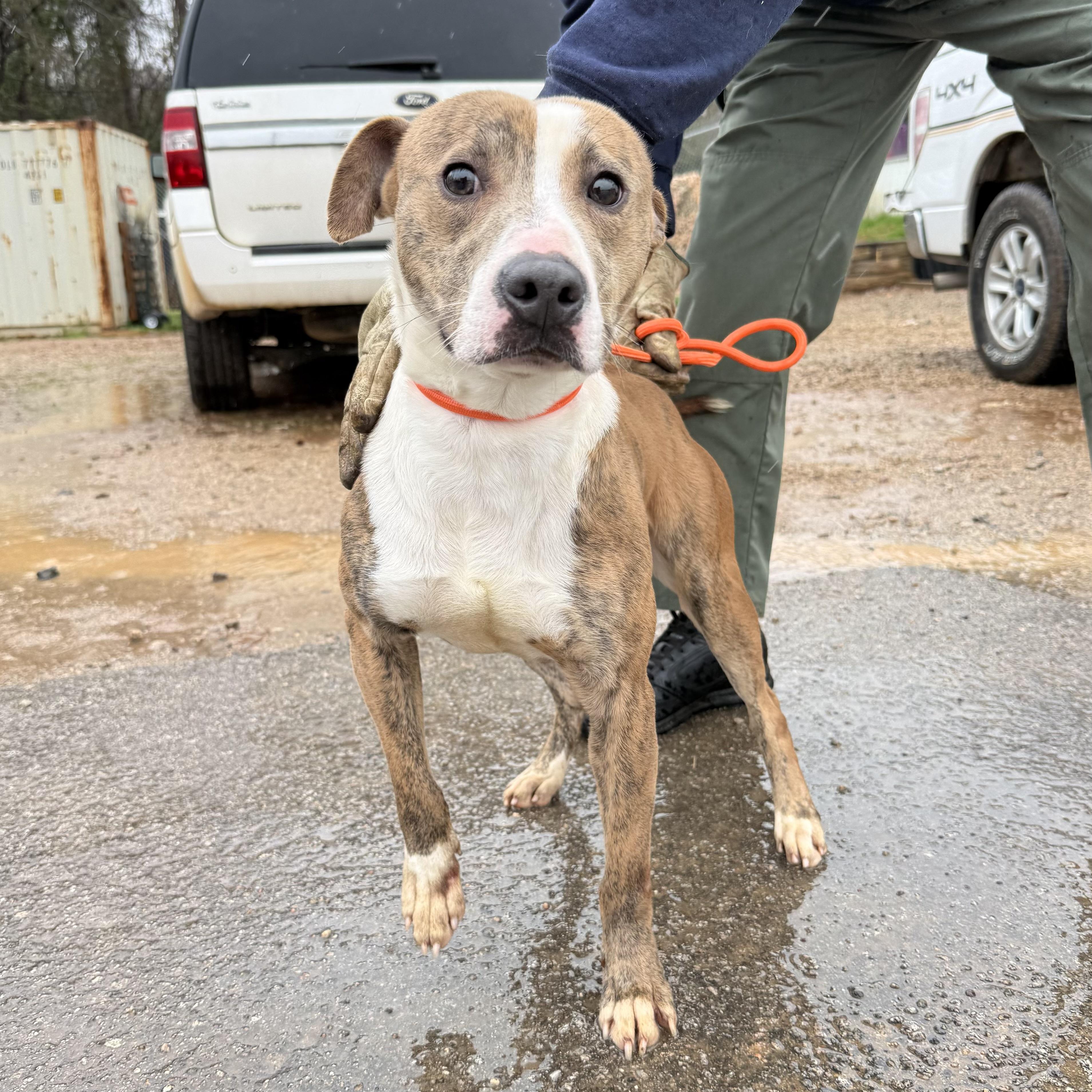 Nalgene — thumbnail 2