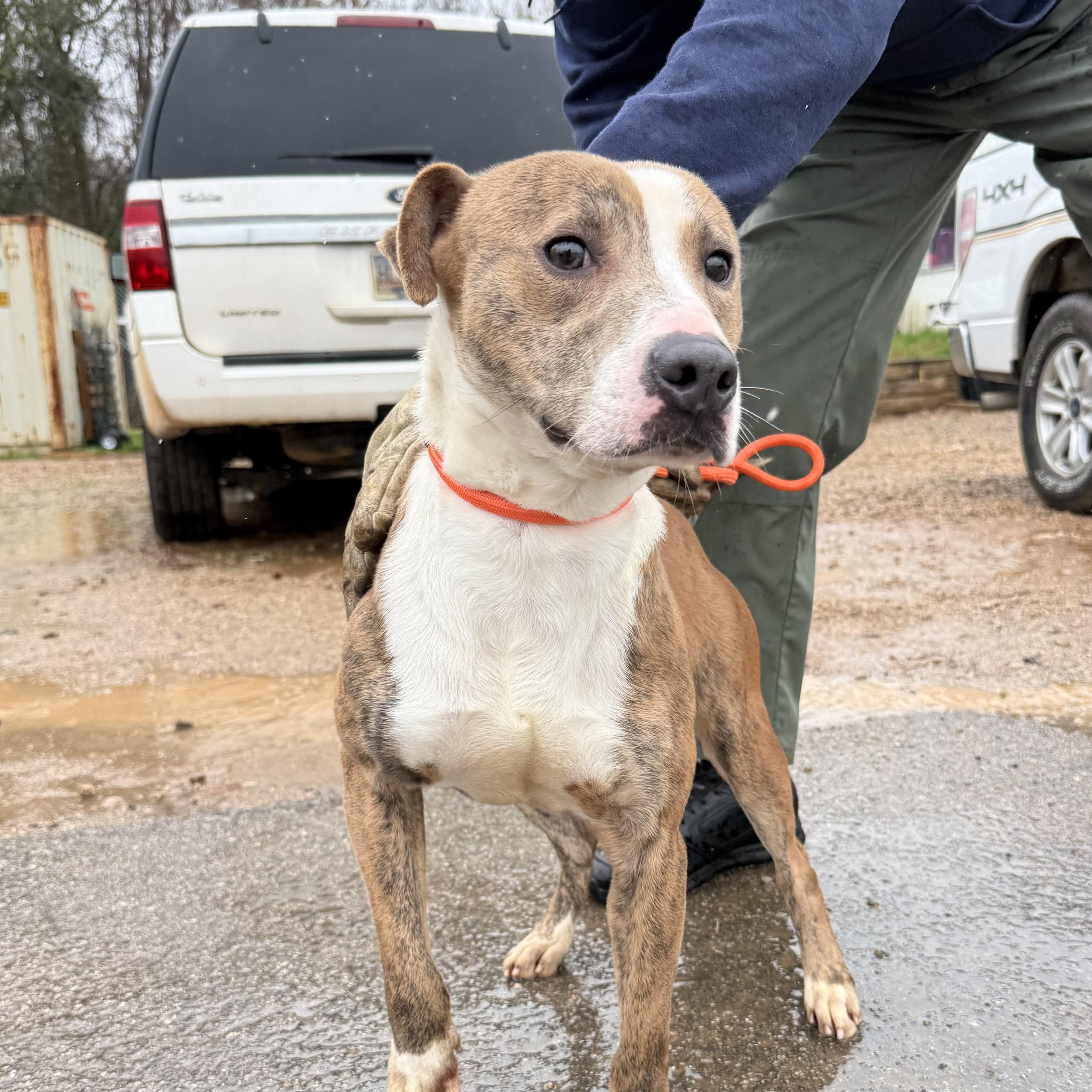 Nalgene — thumbnail 4