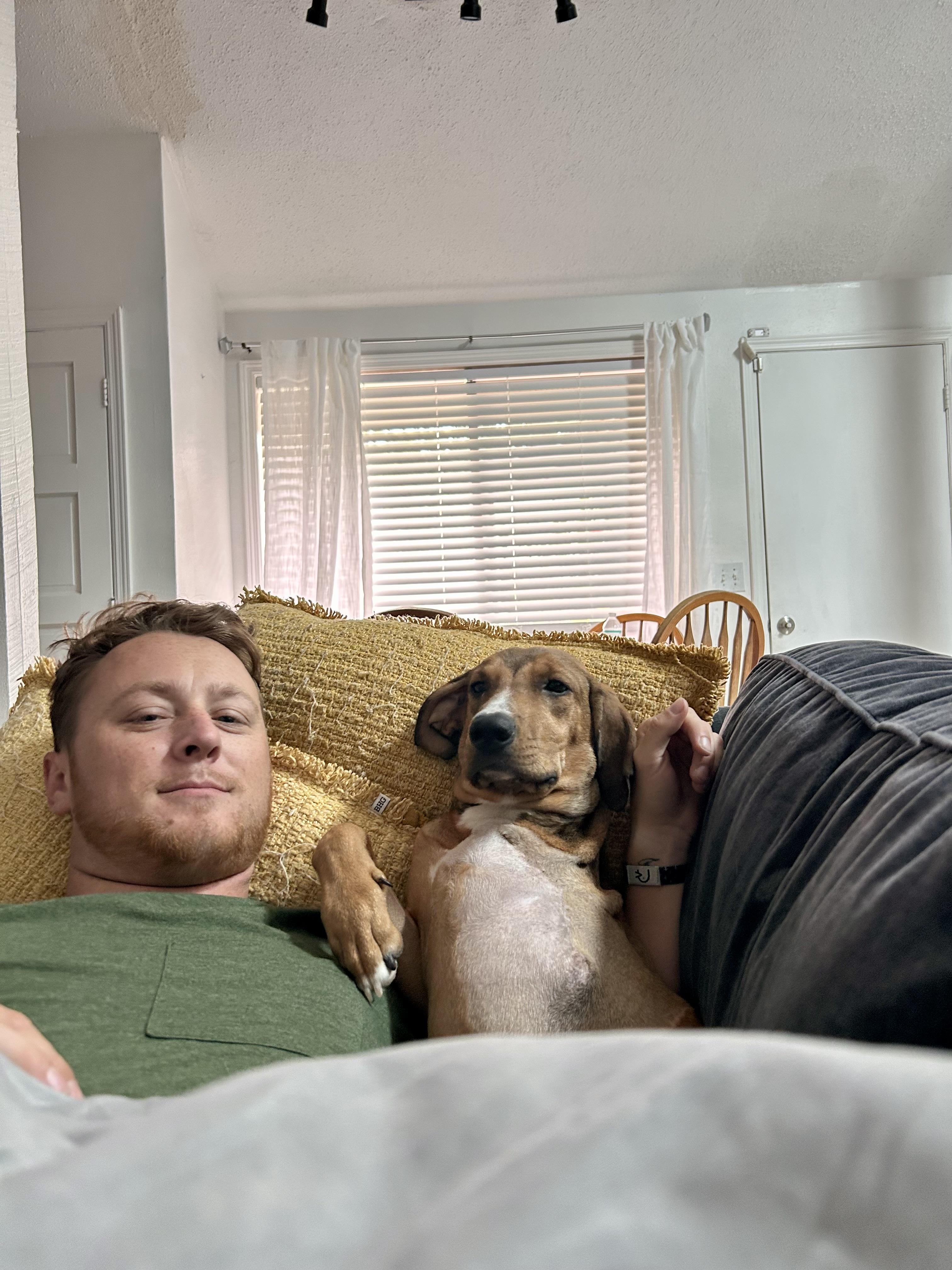 CHRISTY, a Adopted mixed breed in Shady Hills, FL image 4/6