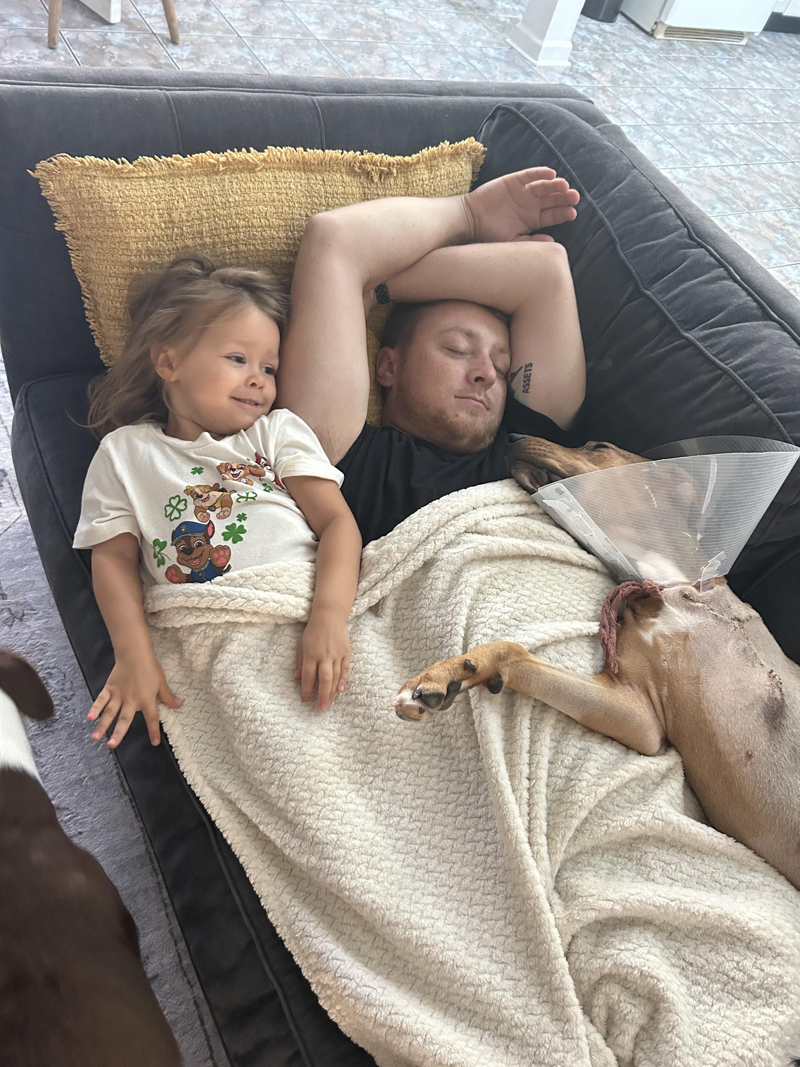 CHRISTY, a Adopted mixed breed in Shady Hills, FL image 6/6