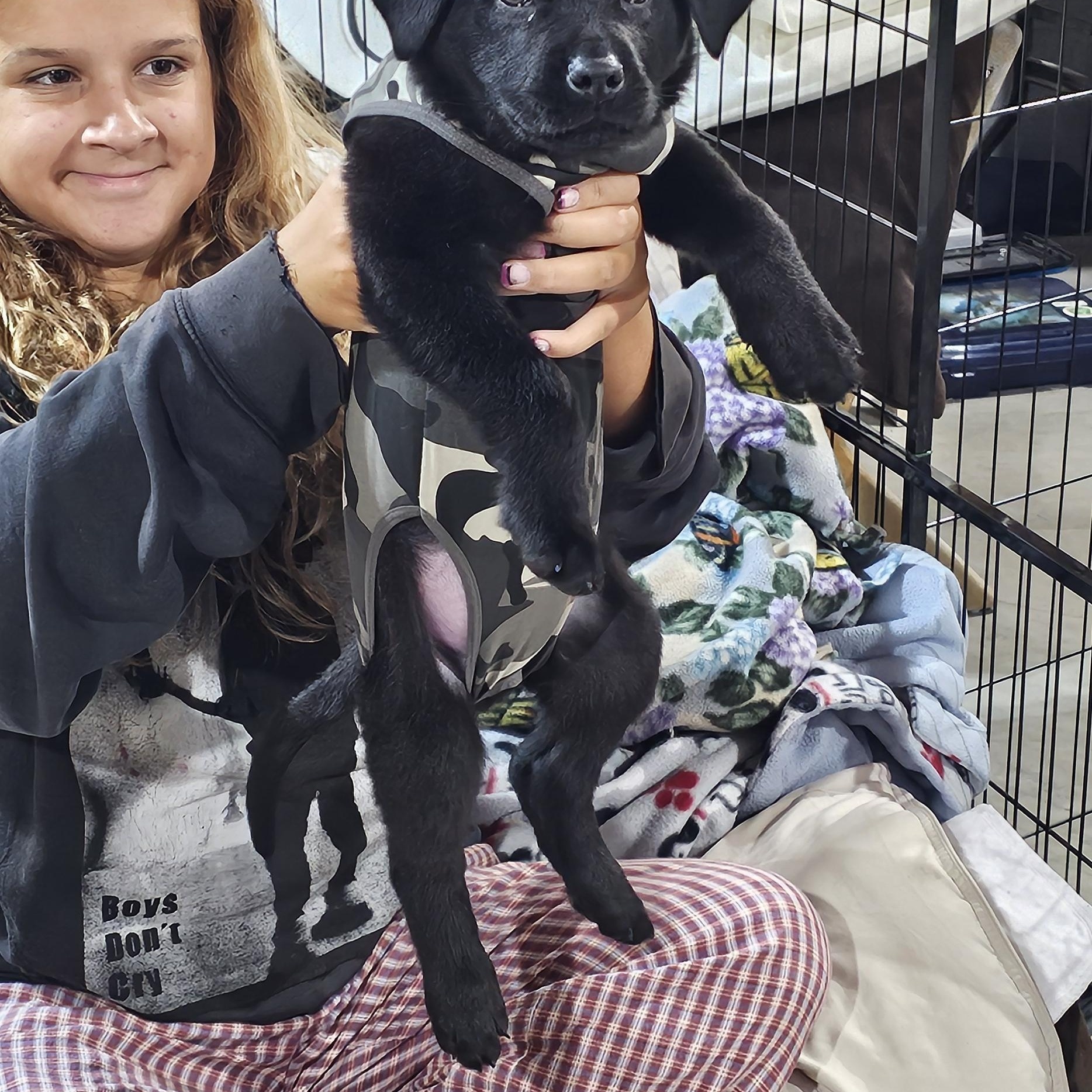 Enlarge Sitka, a ADOPTABLE Mixed Breed in Kenosha, WI image 4/4