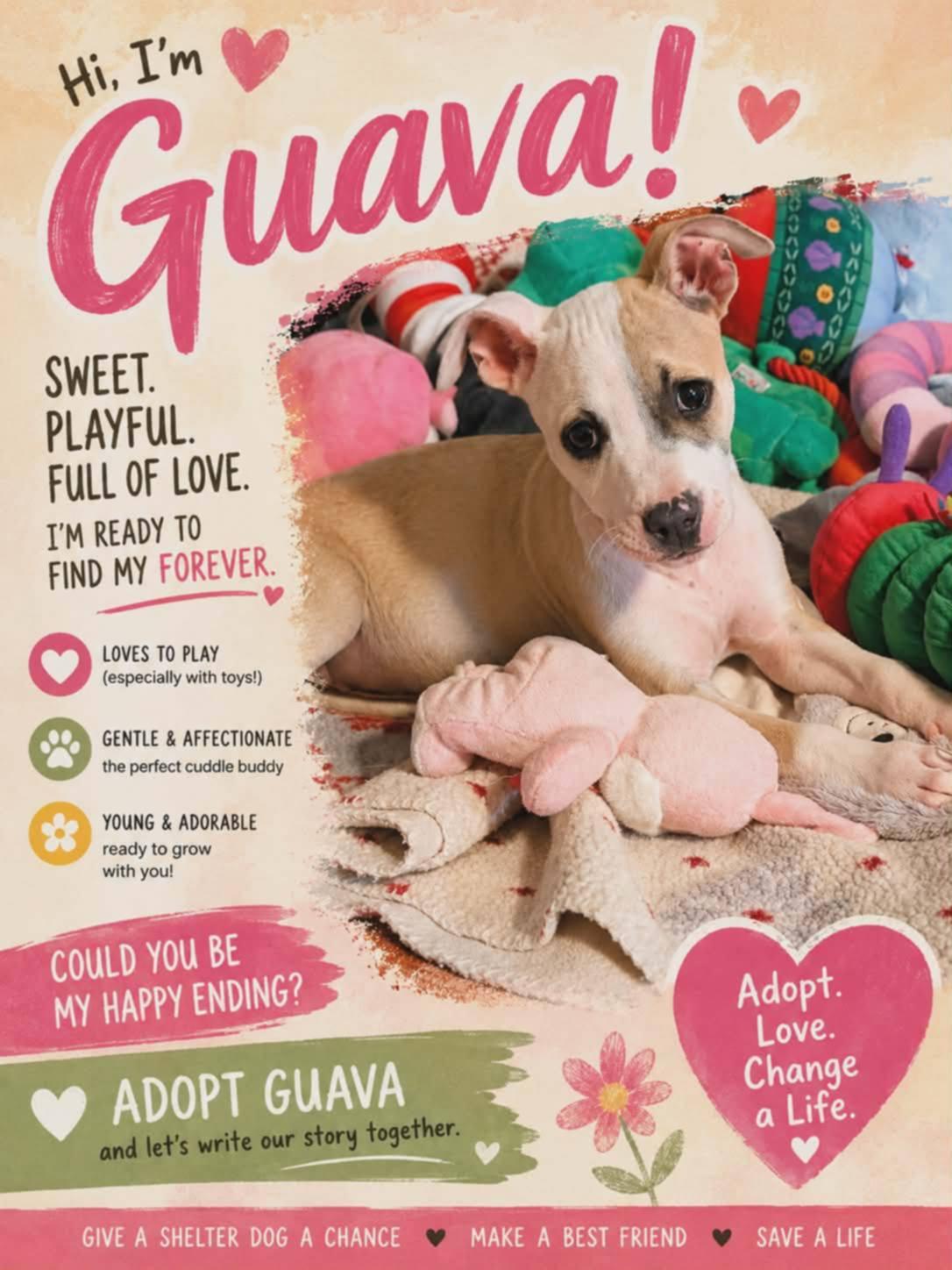 Guava, a Adopted mixed breed in Catasauqua, PA image 2/3