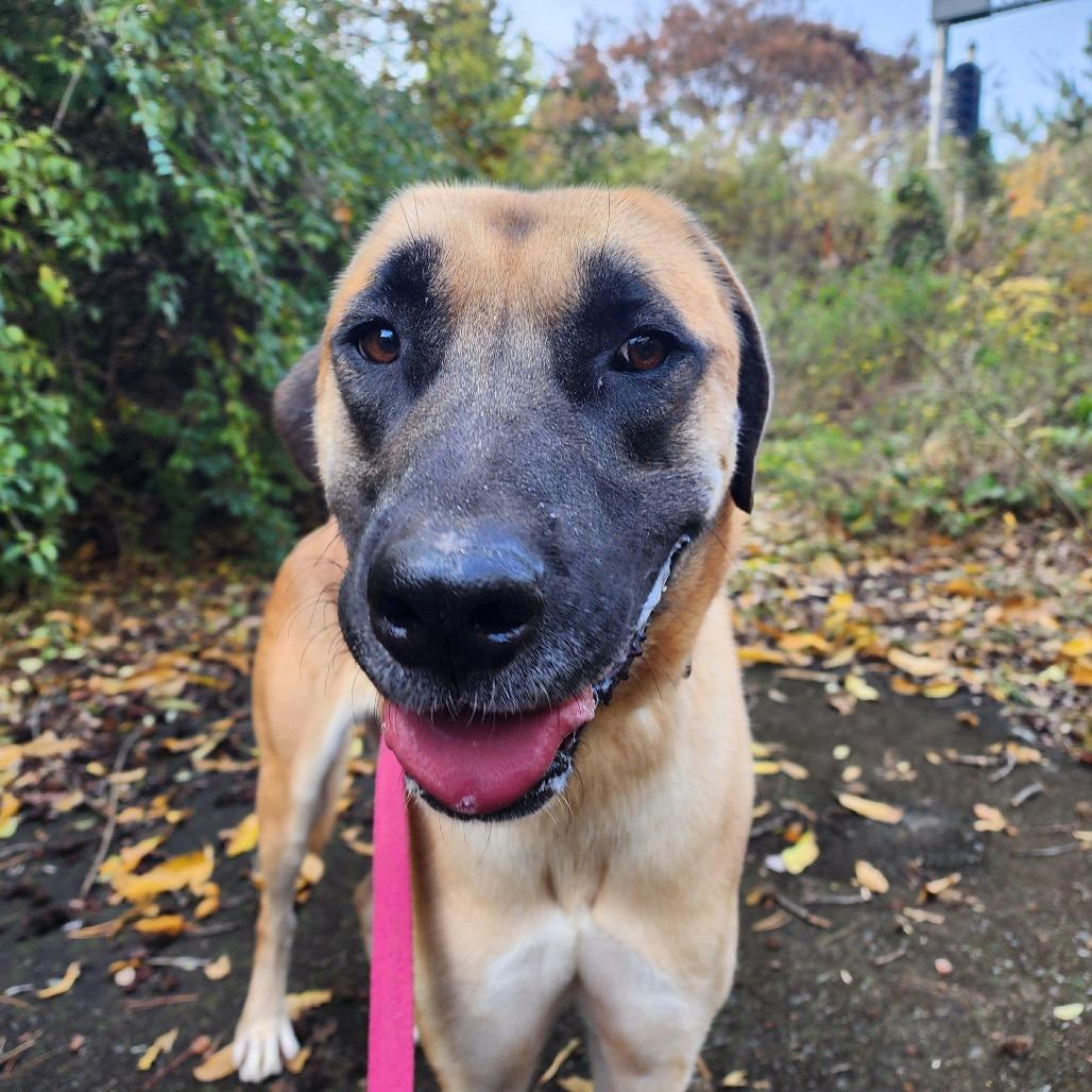 Geongang thumbnail 3