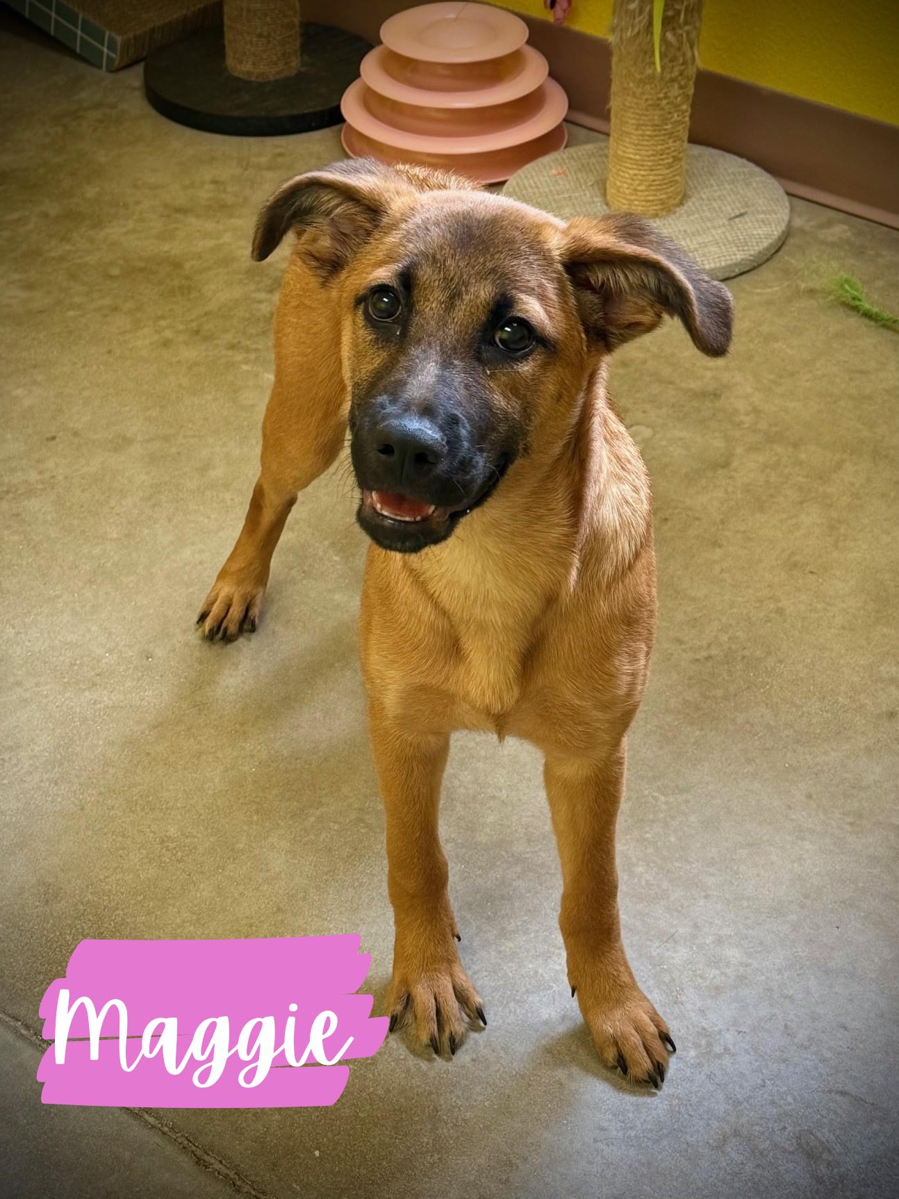 Photo of Maggie